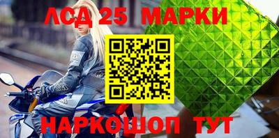 mdpv Гатчина