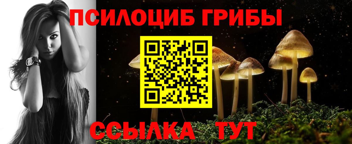 Нурлат  как найти закладки  Галлюциногенные грибы прущие грибы  Вход с VPN  Псилоцибиновые грибы Psilocybe 